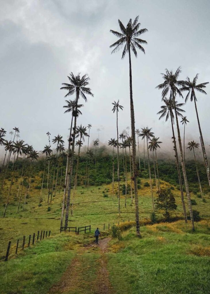 Antioquia-medellin